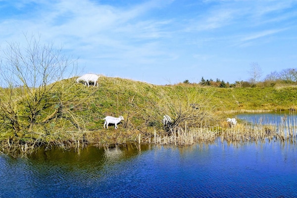 Foto van 6 persoons vakantie huis in Ringkøbing - Vakantiehuis in Ringkøbing - WaterView