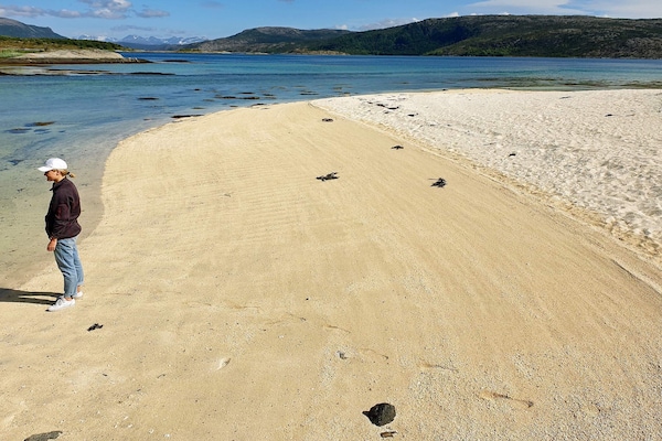 Foto van Kustcharme in Hamaroy-By Traum - Vakantiehuis in Skutvik - Untagged