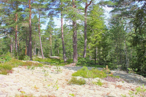 Foto van Schilderachtig huisje aan het meer-By Traum - Vakantiehuis in LIDKÖPING - Untagged