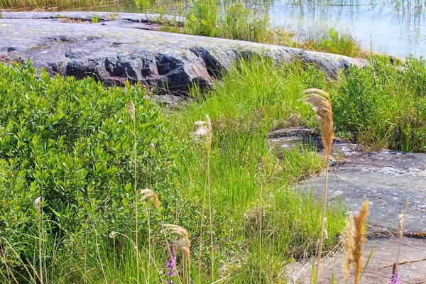Foto van Schilderachtig huisje aan het meer-By Traum - Vakantiehuis in LIDKÖPING - Untagged