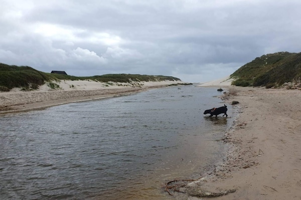 Foto van 8 persoons vakantie huis in Blåvand - Vakantiehuis in Blåvand - WaterView