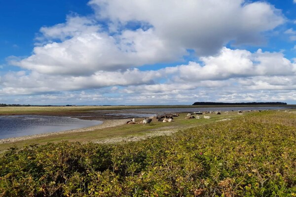 Foto van 6 persoons vakantie huis in Lemvig - Vakantiehuis in Lemvig - WaterView