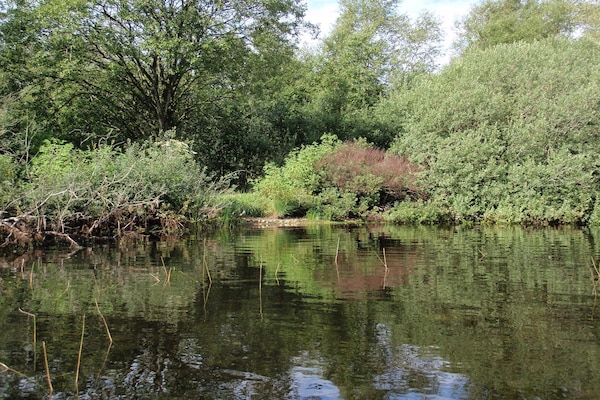 Foto van 6 persoons vakantie huis in Ansager - Vakantiehuis in Ansager - WaterView