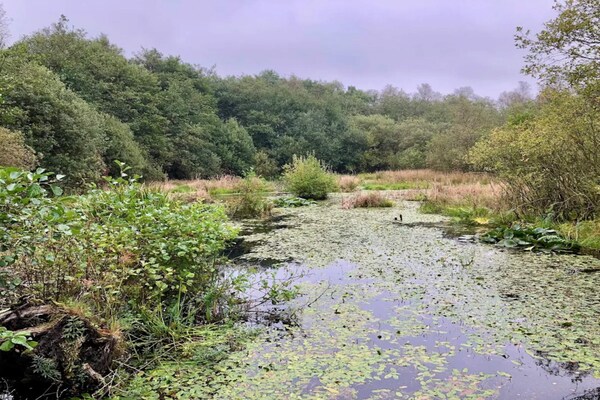 Foto van 6 persoons vakantie huis in Ansager - Vakantiehuis in Ansager - WaterView