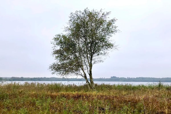 Foto van 6 persoons vakantie huis in Ansager - Vakantiehuis in Ansager - WaterView