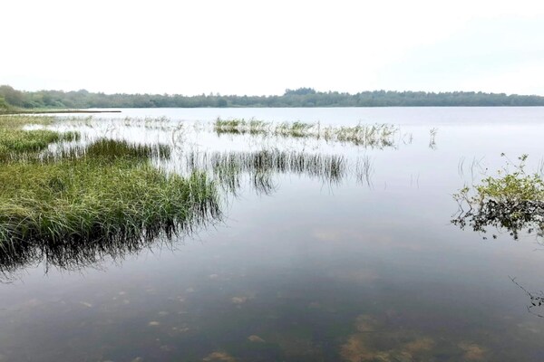 Foto van 6 persoons vakantie huis in Ansager - Vakantiehuis in Ansager - WaterView