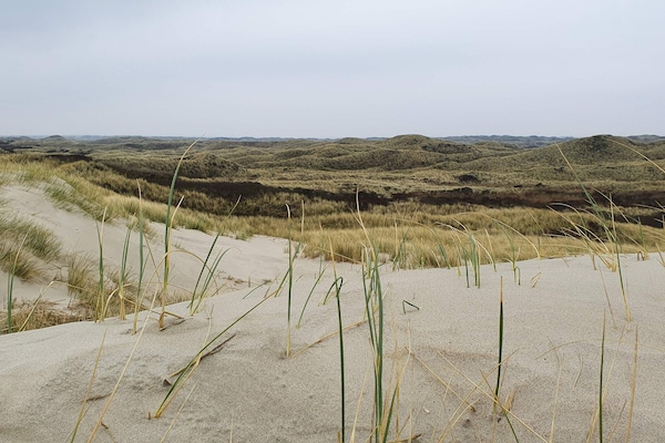 Foto van Luxe oase in Blavand-By Traum - Vakantiehuis in Blåvand - Untagged