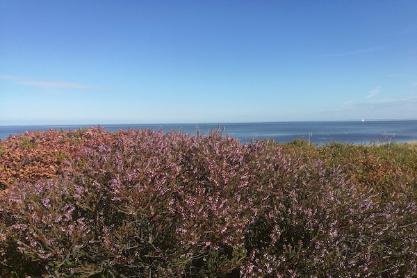 Foto van 6 persoons vakantie huis in Hemmet - Vakantiehuis in Hemmet - WaterView