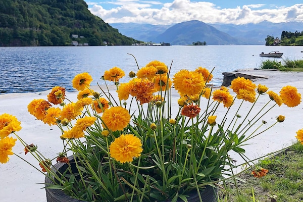 Foto van 6 persoons vakantie huis in øystese - Vakantiehuis in øystese - WaterView