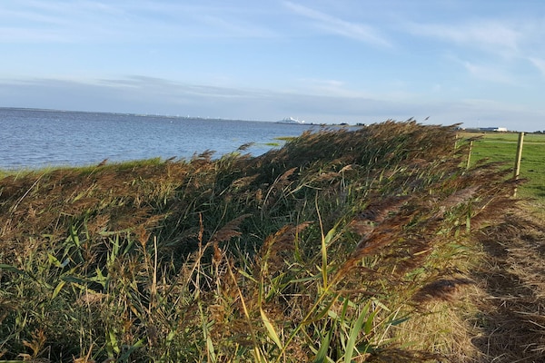 Foto van 16 persoons vakantie huis in Rømø - Vakantiehuis in Rømø - WaterView
