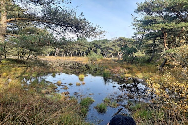 Foto van 16 persoons vakantie huis in Rømø - Vakantiehuis in Rømø - WaterView
