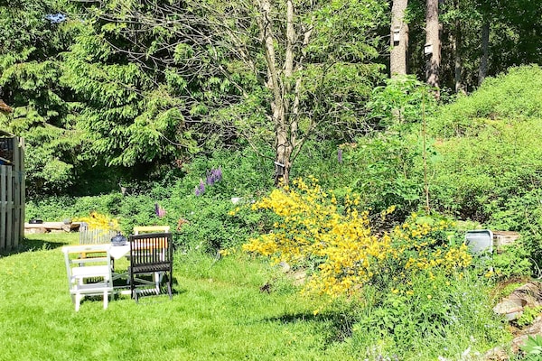 Foto van Landelijk huisje in de buurt van Ullared - Vakantiehuis in ULLARED - Outdoor