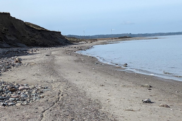 Foto van 6 persoons vakantie huis in Løgstør - Vakantiehuis in Løgstør - WaterView