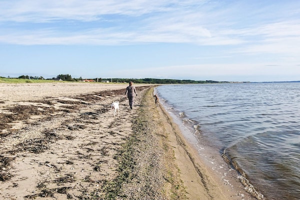 Foto van 6 persoons vakantie huis in Løgstør - Vakantiehuis in Løgstør - WaterView