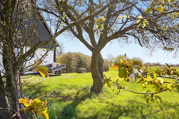 Foto van 6 persoons vakantie huis in Aakirkeby - Vakantiehuis in Aakirkeby - Outdoor
