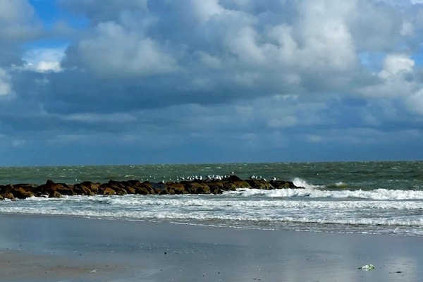 Foto van 8 persoons vakantie huis in Blåvand - Vakantiehuis in Blåvand - WaterView