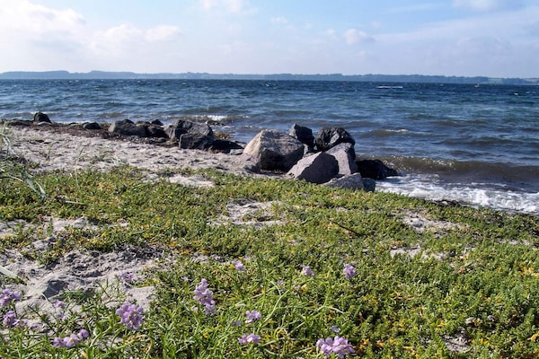 Foto van Kustparadijs in Skovmose-By Traum - Vakantiehuis in Sydals - WaterView