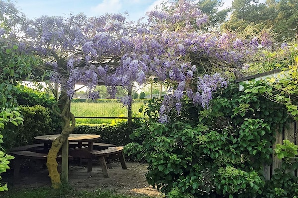 Foto van Kustparadijs in Skovmose-By Traum - Vakantiehuis in Sydals - View