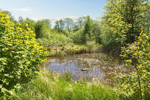 Foto van Idyllische Deense Boerderij Retreat-By Traum - Vakantiehuis in Hemmet - View