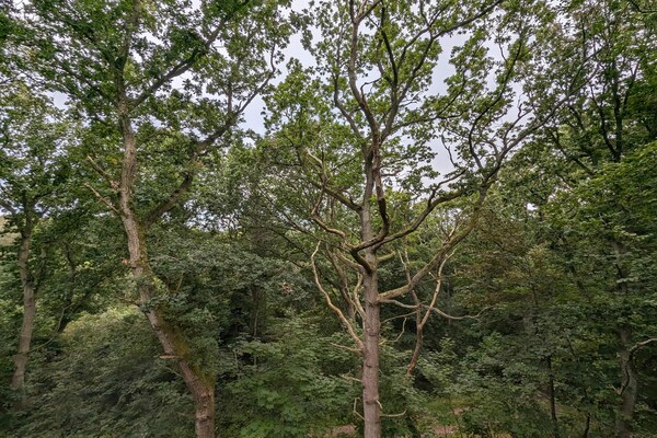 Foto van Luxe toevluchtsoord in oster Hurup-By Traum - Vakantiehuis in Hadsund - Untagged