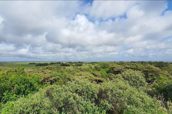 Foto van 6 persoons vakantie huis in Rømø - Vakantiehuis in Rømø - View