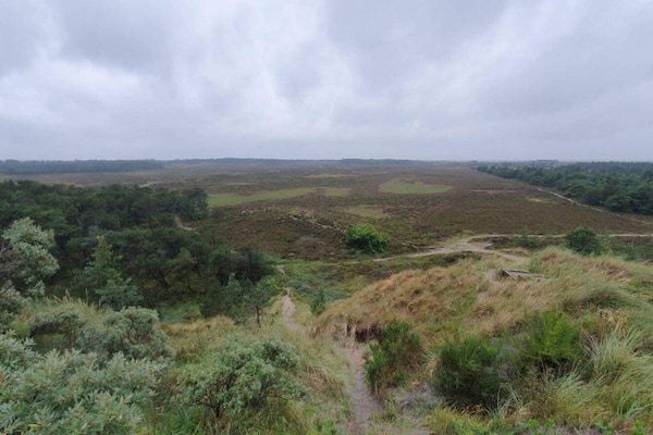 Foto van 6 persoons vakantie huis in Rømø - Vakantiehuis in Rømø - View