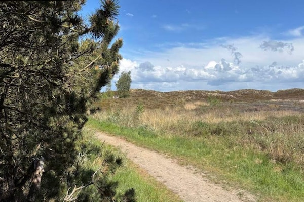 Foto van 6 persoons vakantie huis in Rømø - Vakantiehuis in Rømø - View
