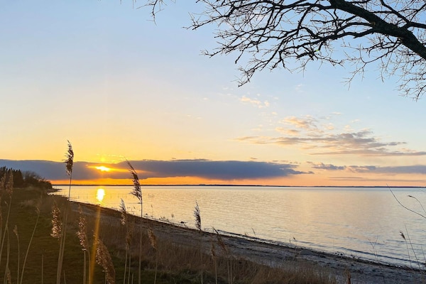 Foto van 12 persoons vakantie huis in Nordborg - Vakantiehuis in Nordborg - Untagged