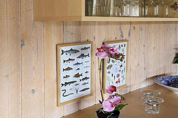 Foto van 12 persoons vakantie huis in Nordborg - Vakantiehuis in Nordborg - Indoor