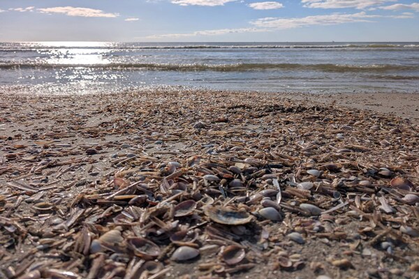 Foto van Afgelegen toevluchtsoord in Rindby - Vakantiehuis in Fanø - WaterView