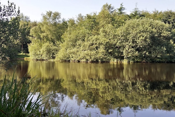 Foto van 6 persoons vakantie huis in Toftlund - Vakantiehuis in Toftlund - WaterView