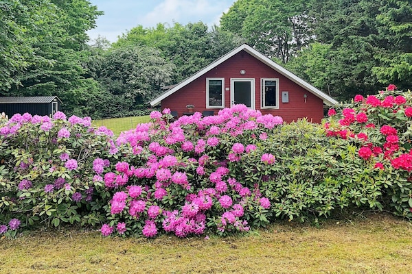 Foto van 6 persoons vakantie huis in Toftlund - Vakantiehuis in Toftlund - Outdoor