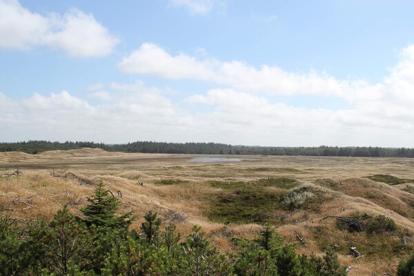 Foto van 6 persoons vakantie huis in Thisted - Vakantiehuis in Thisted - View