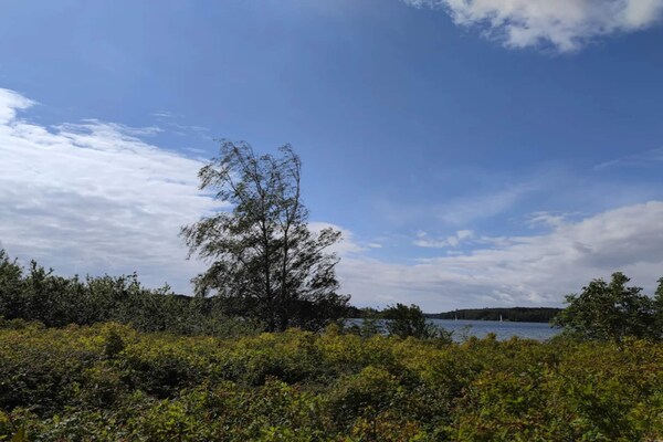 Foto van 20 persoons vakantie huis in Svendborg - Vakantiehuis in Svendborg - WaterView