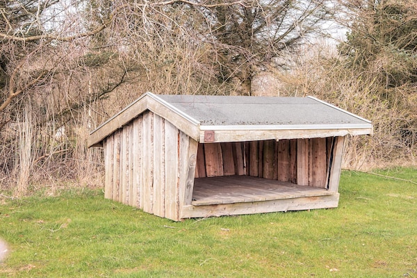 Foto van 6 persoons vakantie huis in Ringkøbing - Vakantiehuis in Ringkøbing - View
