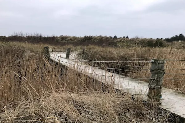 Foto van Kustsereniteit bij Knasborg Strand-By Traum - Vakantiehuis in Ålbæk - Untagged
