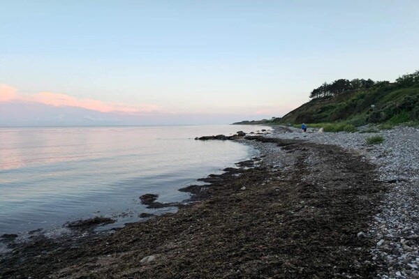 Foto van 6 persoons vakantie huis in Ebeltoft - Vakantiehuis in Ebeltoft - WaterView
