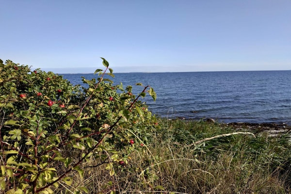 Foto van 6 persoons vakantie huis in Nordborg - Vakantiehuis in Nordborg - WaterView