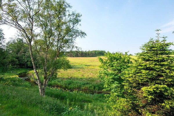 Foto van Rustig toevluchtsoord aan de rivier - Vakantiehuis in Holstebro - WaterView
