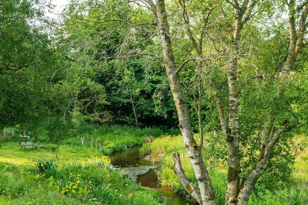 Foto van Rustig toevluchtsoord aan de rivier - Vakantiehuis in Holstebro - WaterView