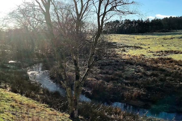 Foto van Rustig toevluchtsoord aan de rivier - Vakantiehuis in Holstebro - Outdoor