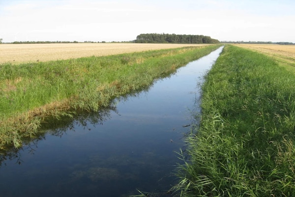 Foto van Kustelijke Sereniteit in Hummingen-By Traum - Vakantiehuis in Dannemare - WaterView