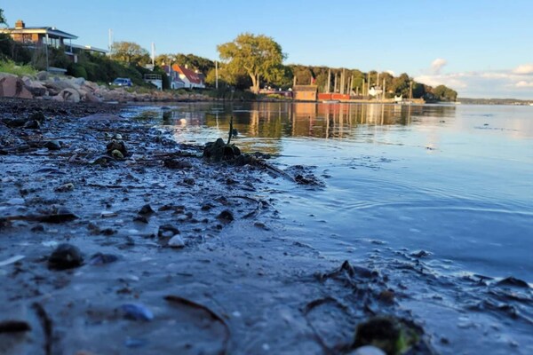 Foto van Kustplezier in Dyreborg-By Traum - Vakantiehuis in Faaborg - WaterView