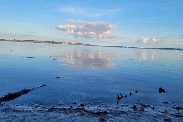 Foto van Kustplezier in Dyreborg-By Traum - Vakantiehuis in Faaborg - WaterView