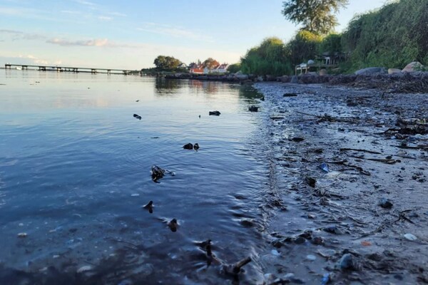 Foto van Kustplezier in Dyreborg-By Traum - Vakantiehuis in Faaborg - WaterView