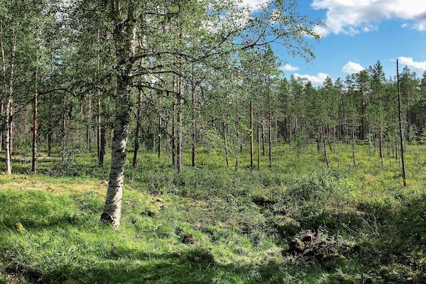 Foto van Vintage Bosverblijf-By Traum - Vakantiehuis in RÖRBÄCKSNÄS - Outdoor