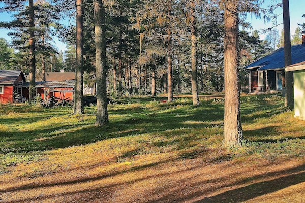 Foto van Vintage Bosverblijf-By Traum - Vakantiehuis in RÖRBÄCKSNÄS - Outdoor