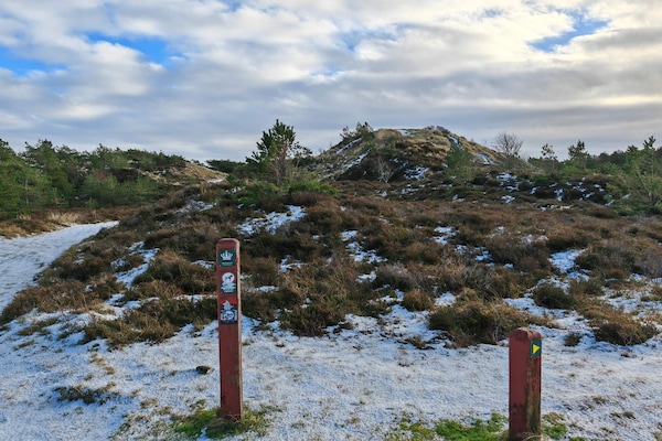 Foto van 6 persoons vakantie huis in Rømø - Vakantiehuis in Rømø - Untagged