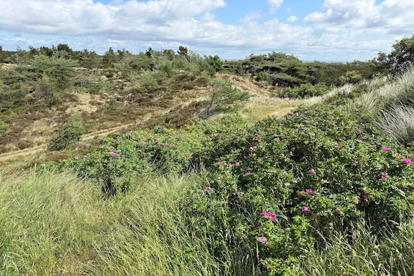 Foto van 6 persoons vakantie huis in Rømø - Vakantiehuis in Rømø - Untagged