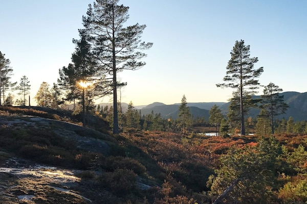 Foto van 15 persoons vakantie huis in Treungen - Vakantiehuis in Treungen - Outdoor